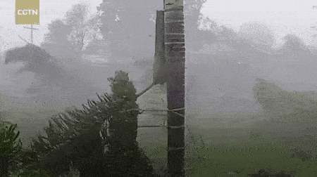 Siêu bão mạnh nhất thế giới Goni quét thẳng vào Philippines: Ít nhất 10 người chết, mái nhà bay như lá rụng, đất nước tan hoang-1