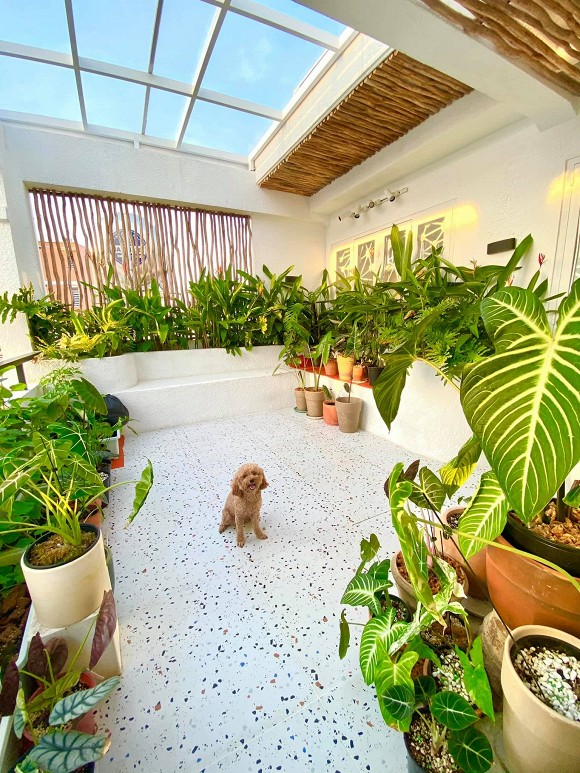 Góc vườn xanh mướt bên trong biệt thự của Trịnh Tú Trung-5