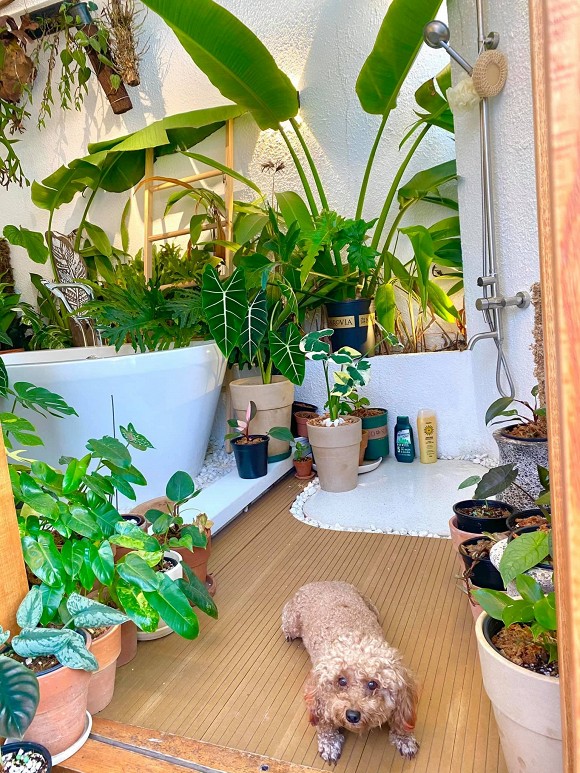 Góc vườn xanh mướt bên trong biệt thự của Trịnh Tú Trung-10