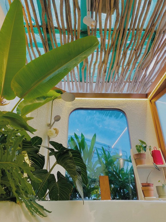 Góc vườn xanh mướt bên trong biệt thự của Trịnh Tú Trung-14