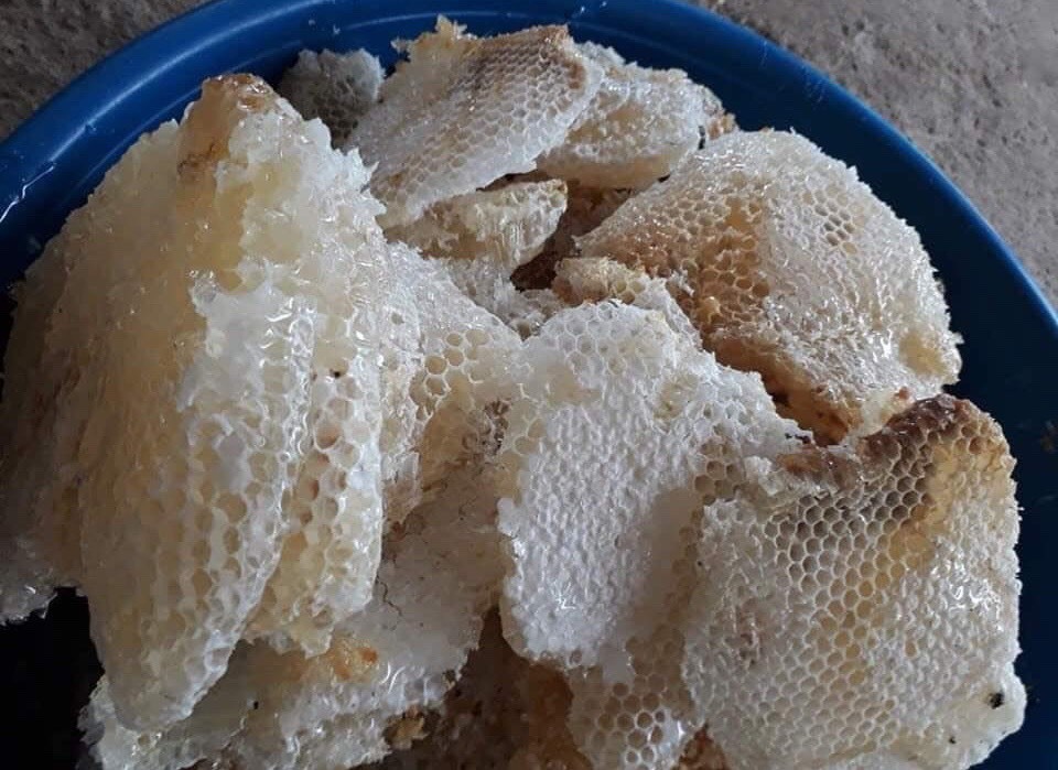 Mật ong trắng như sữa: Mỗi năm chỉ 1 lần, hàng hiếm từ đỉnh núi mây-1