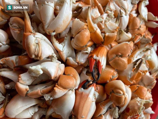 Tiếc thứ gãy rụng từ cua biển, dân buôn gom lại bán rẻ một nửa, khách mua ầm ầm-3