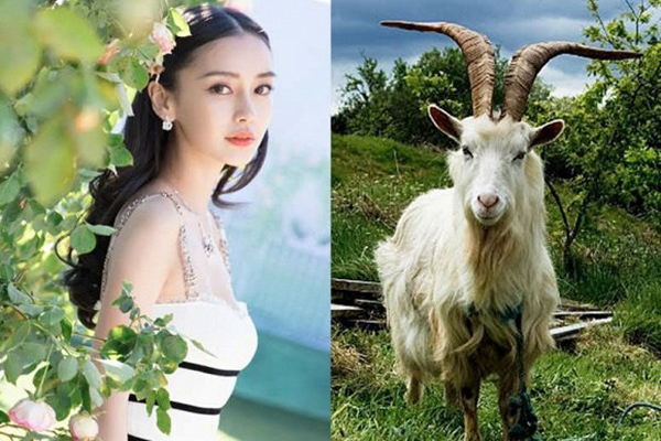 Nữ nhân sinh ngày âm lịch này, trời sinh bản lĩnh kiên cường vượt qua mọi khó khăn, trong 5 năm tới giàu có hạnh phúc không ai sánh bằng-4