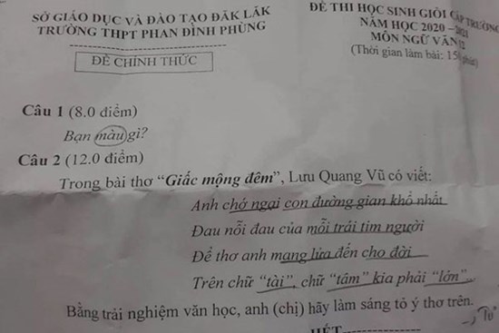 Đề thi HSG môn Ngữ Văn của trường cấp 3: Bạn màu gì? Nghe dân mạng phân tích sao mà đỉnh thế