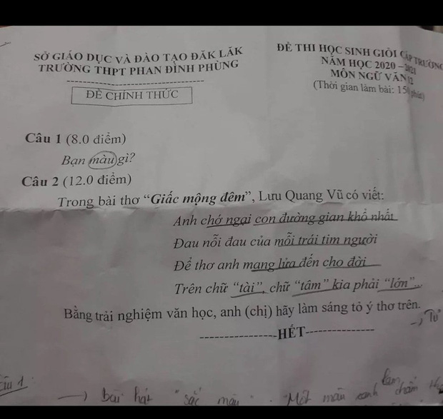 Đề thi HSG môn Ngữ Văn của trường cấp 3: Bạn màu gì? Nghe dân mạng phân tích sao mà đỉnh thế-1