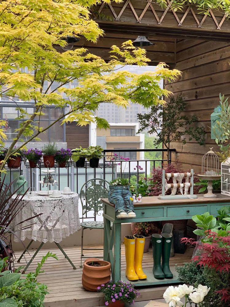 Người đàn ông sở hữu vườn hoa trên sân thượng đẹp như thiên đường ai ngắm cũng mê-11