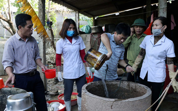 Cận cảnh hàng chục con rắn bò vào nhà dân ở Hà Tĩnh sau lũ: Dài hàng mét, toàn loài kịch độc-6