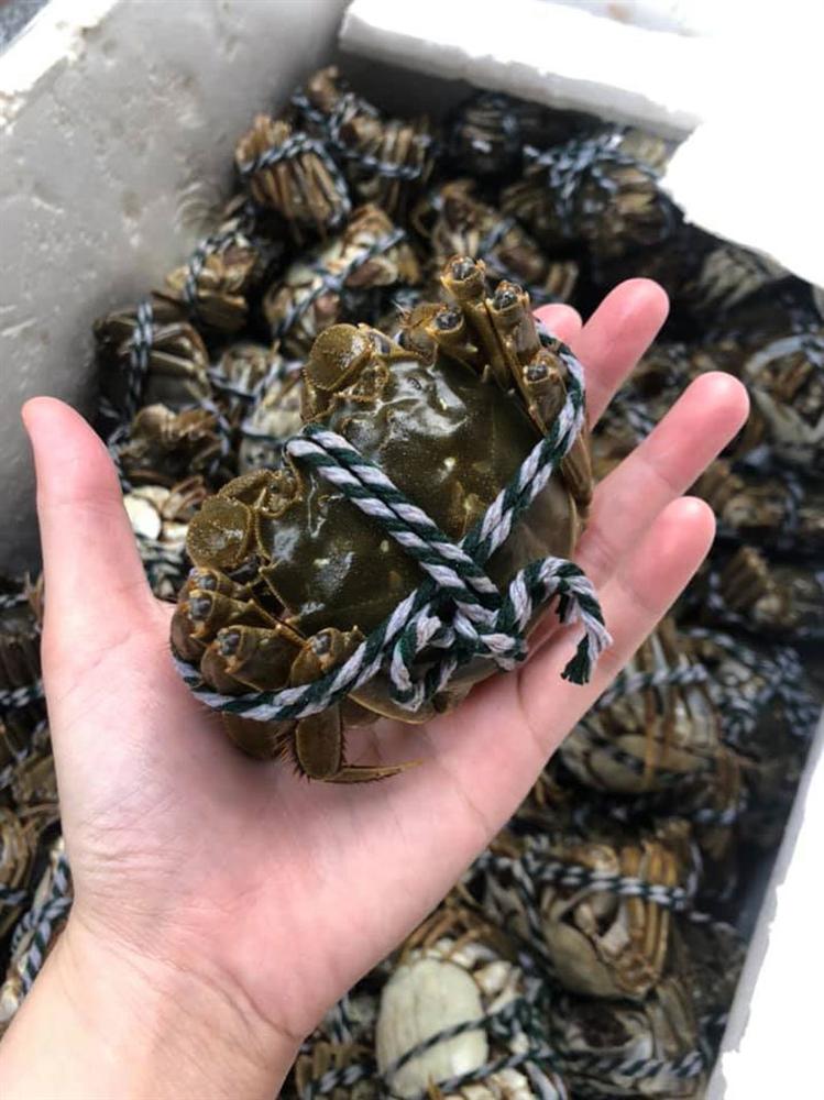 Cua lông ở Trung Quốc siêu đắt đỏ, về chợ Việt thành hàng bình dân-3