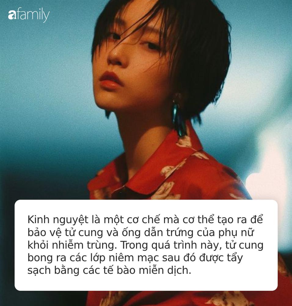 Phụ nữ đến kỳ kinh nguyệt nếu thấy cơ thể phản ứng theo 3 cách này thì tử cung của bạn rất khỏe mạnh!-1