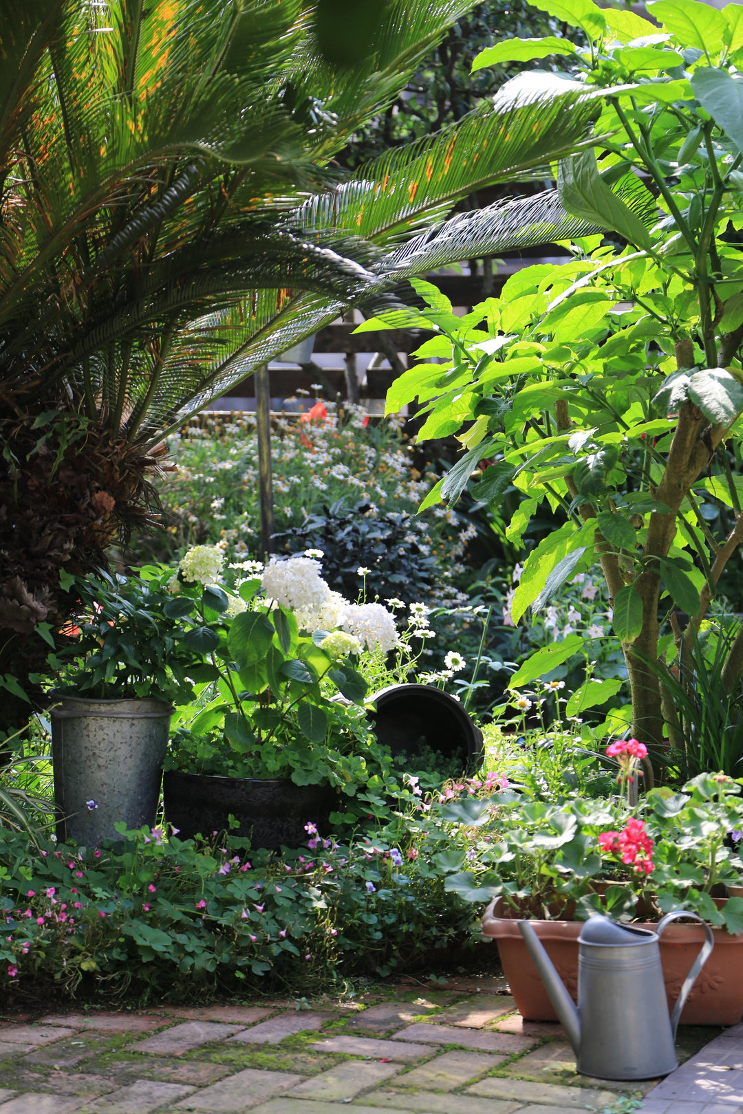 Khu vườn quanh năm chỉ có mùa xuân với hoa nở tưng bừng của cô giáo dạy Toán-10