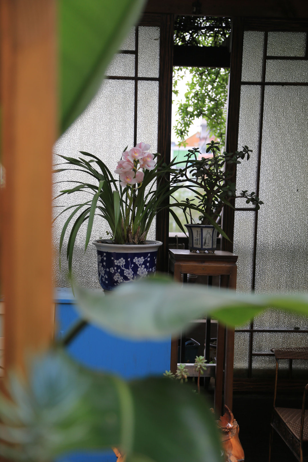 Khu vườn quanh năm chỉ có mùa xuân với hoa nở tưng bừng của cô giáo dạy Toán-12