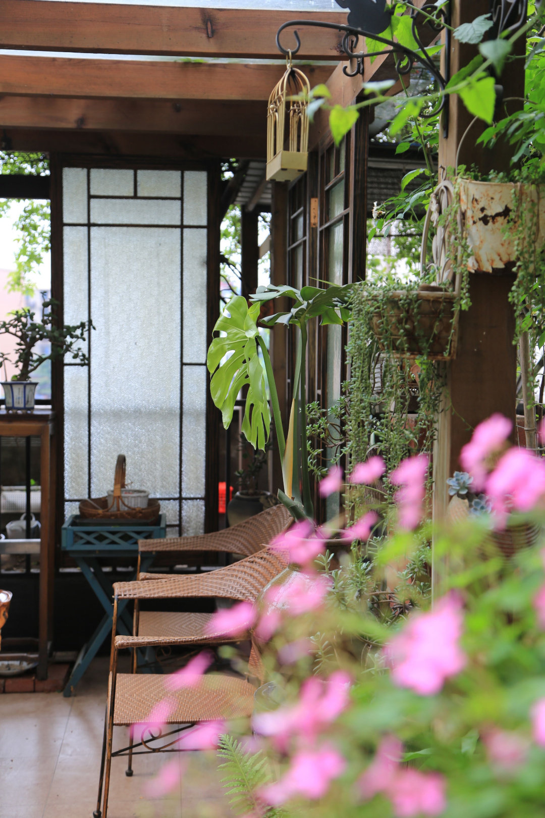 Khu vườn quanh năm chỉ có mùa xuân với hoa nở tưng bừng của cô giáo dạy Toán-8