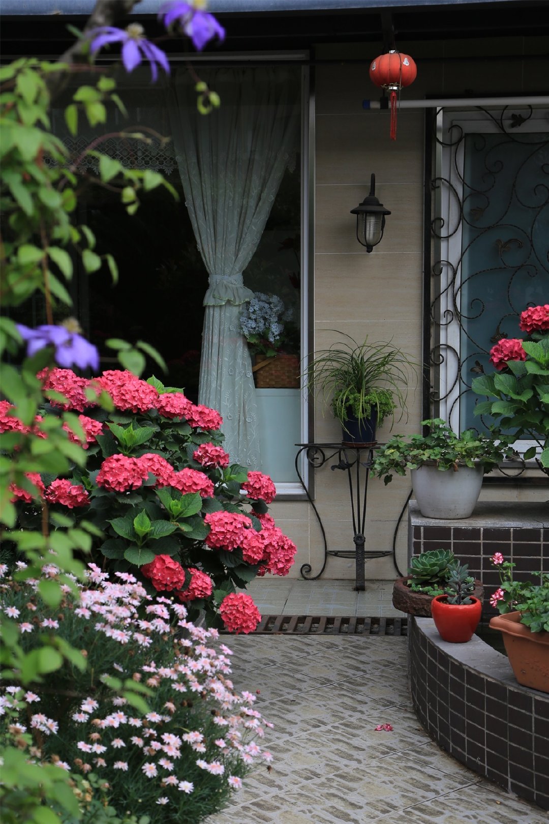 Khu vườn quanh năm chỉ có mùa xuân với hoa nở tưng bừng của cô giáo dạy Toán-16