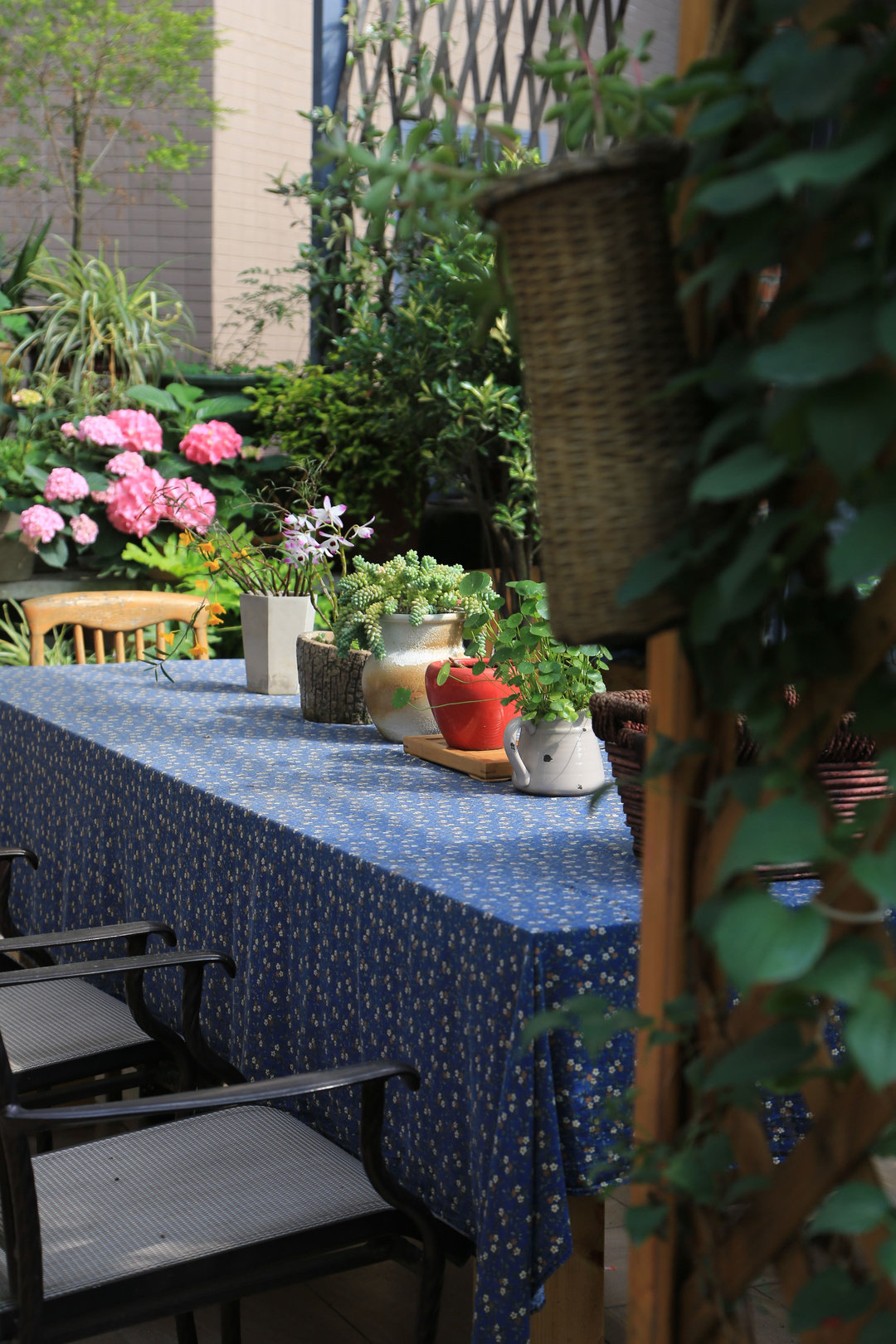 Khu vườn quanh năm chỉ có mùa xuân với hoa nở tưng bừng của cô giáo dạy Toán-17