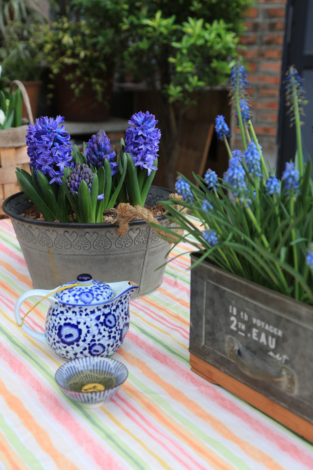 Khu vườn quanh năm chỉ có mùa xuân với hoa nở tưng bừng của cô giáo dạy Toán-14