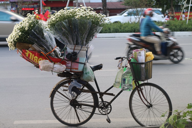 Cúc họa mi đầu mùa xuống phố, dân buôn hét giá cả trăm nghìn 1 bó vẫn cháy hàng-3