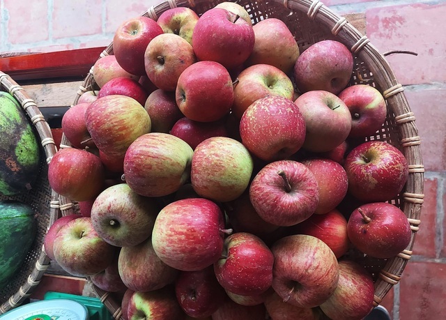 Táo đá Hà Giang giá siêu rẻ, dân buôn vén màn sự thật gây sốc-3