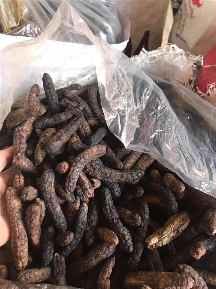 Quả rừng ngâm rượt Tết, quý cô công sở đút túi chục triệu/tháng-4