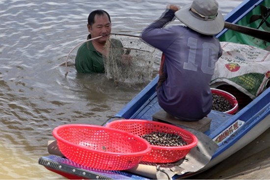 Đồng Tháp: Mùa nước nổi dân lặn sâu xuống sông xúc cả tạ con này, kiếm vài trăm ngàn mỗi ngày