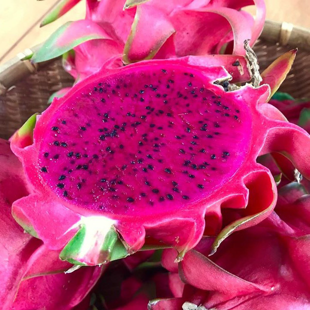 Thế giới có 5 loại thanh long màu sắc kỳ lạ, 4 loại xuất hiện tại Việt Nam-3