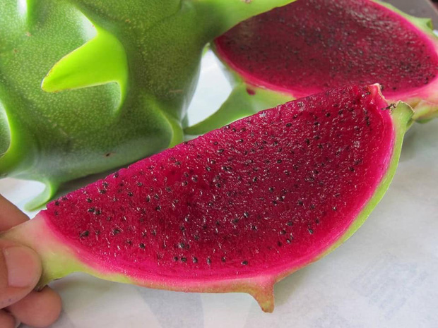 Thế giới có 5 loại thanh long màu sắc kỳ lạ, 4 loại xuất hiện tại Việt Nam-8