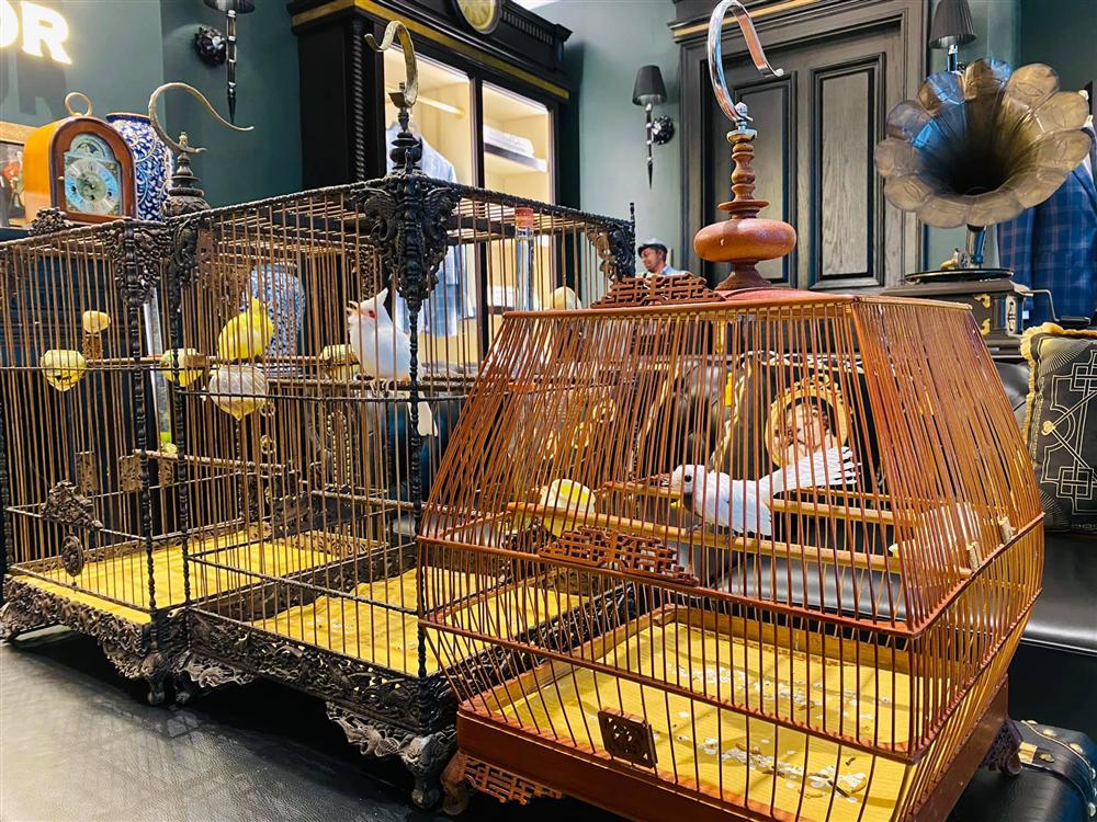 Ông trùm thời trang Việt Nam Chương Tailor sở hữu căn biệt thự xa hoa ngay phố cổ Hà Nội với bể cá Koi tiền tỷ cùng thú chơi chim đột biến cực quý hiếm-12