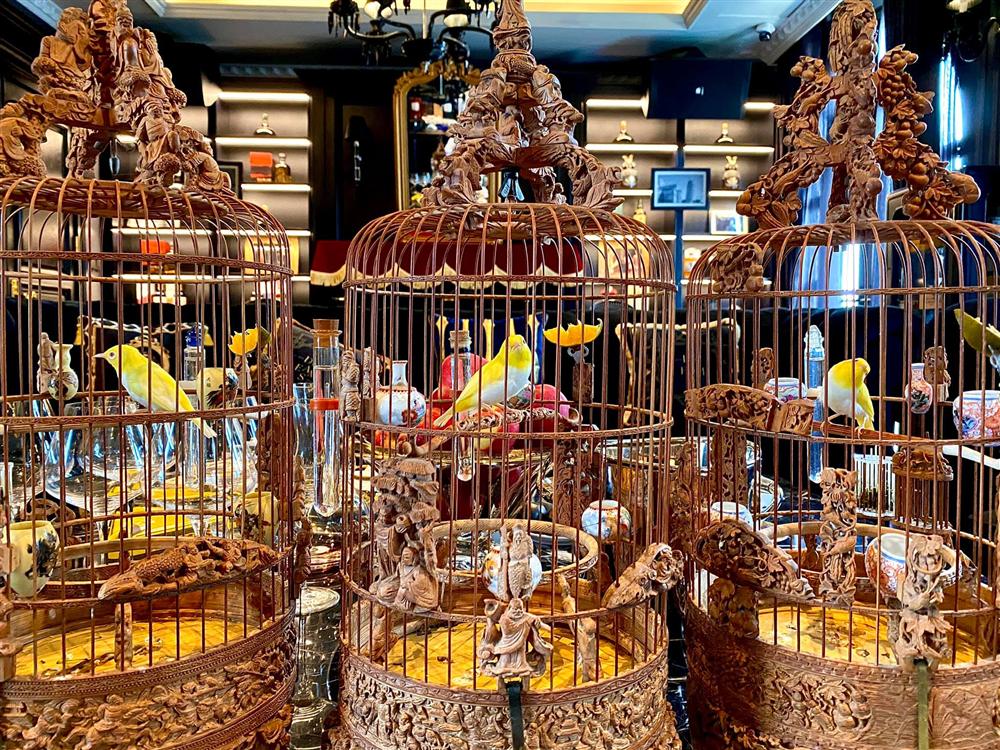 Ông trùm thời trang Việt Nam Chương Tailor sở hữu căn biệt thự xa hoa ngay phố cổ Hà Nội với bể cá Koi tiền tỷ cùng thú chơi chim đột biến cực quý hiếm-11