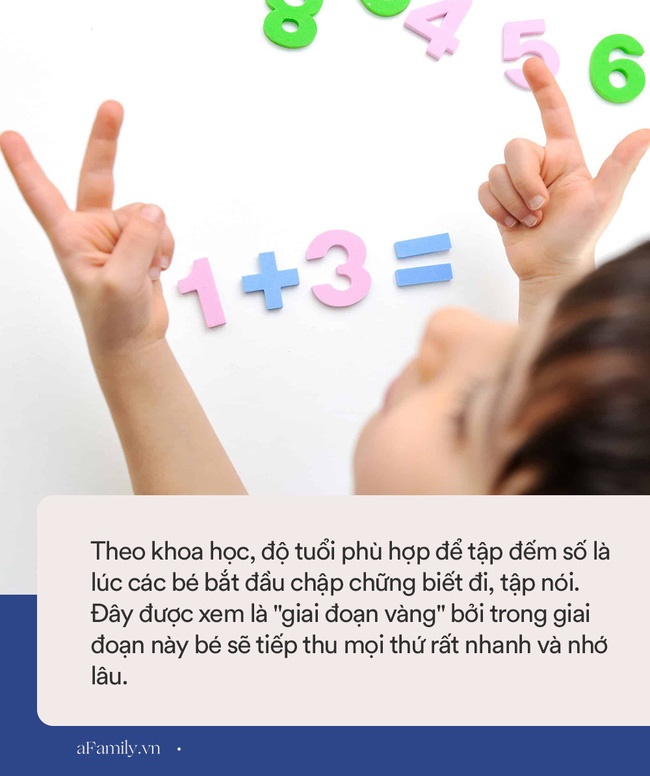 Sữa - Sam nhà Hằng Túi bé tí đã biết đếm số cực đỉnh, nhưng biết cách dạy con đếm số của hot mom thì ai nấy cười rách mép-5