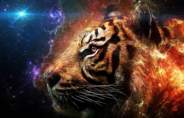 Đúng ngày 1/10 âm lịch, ba con giáp may mắn đón lộc trời ban, tài vận và sự nghiệp đều thăng hoa-2