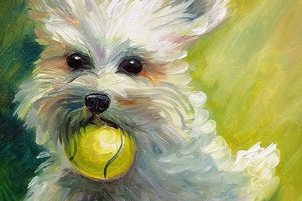 Tháng 10 âm lịch hoan hỷ, 3 con giáp này hồng phúc tề thiên, cuộc sống những tháng cuối năm gặp nhiều may mắn, sẽ tìm được cơ hội đổi đời-4