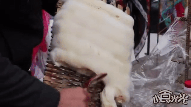 Bốc mùi không kém gì đậu phụ thối, loại đặc sản này còn mọc lông-3