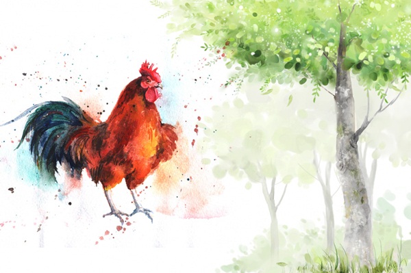 Cuối tháng 11: 3 con giáp được Quý Nhân chỉ đường làm gì cũng tiền bạc đầy ví-2