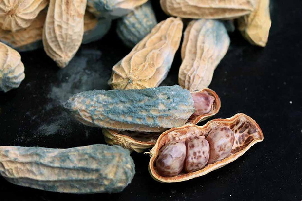 Đây là 3 độc tố phá hủy gan rất dễ xâm nhập vào mâm cơm nhà bạn: Tất cả đều thuộc danh sách đen của WHO nhưng nhiều người không biết-2