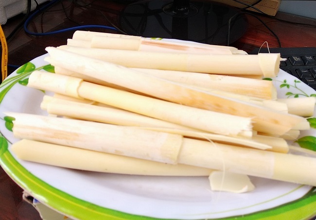 Loại cây gai chi chít, mọc hoang đầy rừng thành đặc sản ngon lạ-3