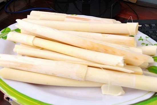 Loại cây gai chi chít, mọc hoang đầy rừng thành đặc sản ngon lạ