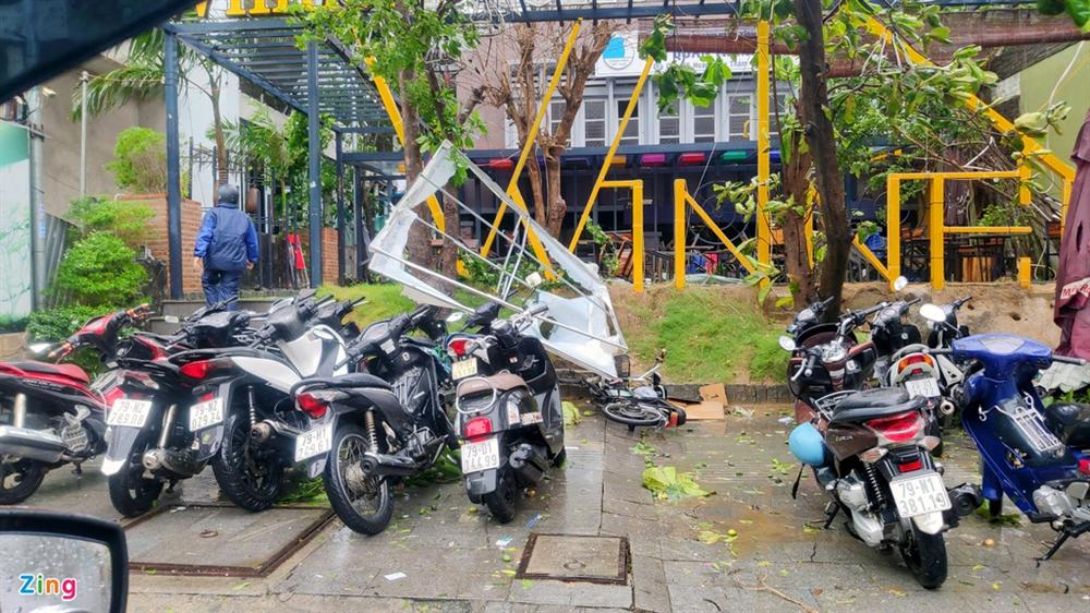 Cây gãy đổ la liệt khi bão số 12 quét qua Nha Trang-4