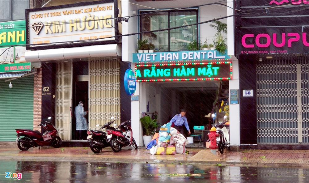 Cây gãy đổ la liệt khi bão số 12 quét qua Nha Trang-5