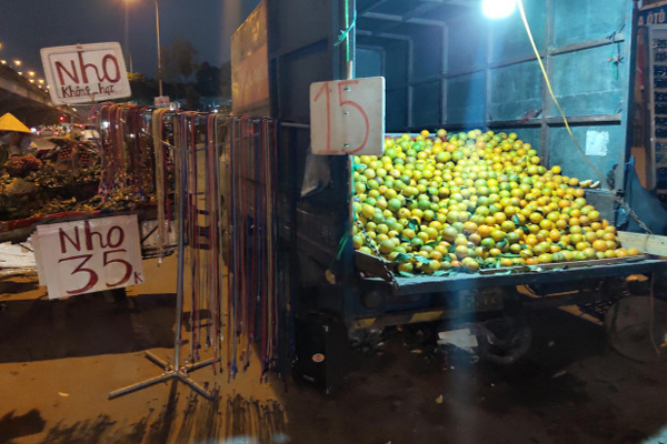 Trung Quốc ồ ạt gom mua, trái cây Việt tăng giá kỷ lục-2