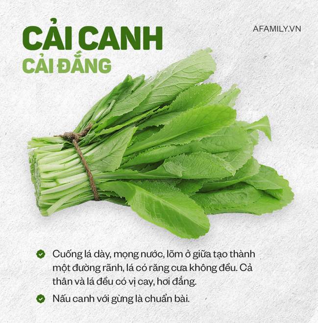 Bí kíp phân biệt các loại rau cải dành cho hội chị em vụng, không còn tình trạng cô ơi đây là rau gì? nữa rồi!-1