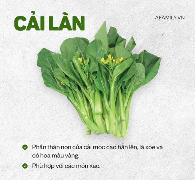 Bí kíp phân biệt các loại rau cải dành cho hội chị em vụng, không còn tình trạng cô ơi đây là rau gì? nữa rồi!-2