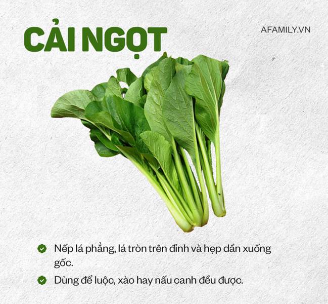 Bí kíp phân biệt các loại rau cải dành cho hội chị em vụng, không còn tình trạng cô ơi đây là rau gì? nữa rồi!-3