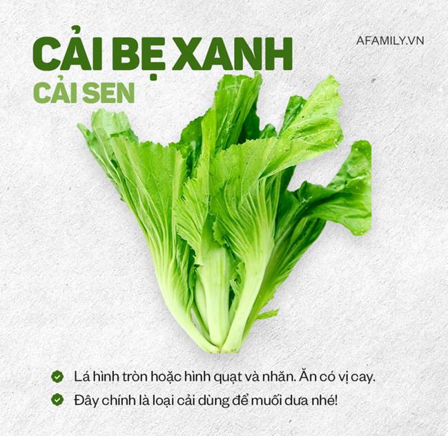 Bí kíp phân biệt các loại rau cải dành cho hội chị em vụng, không còn tình trạng cô ơi đây là rau gì? nữa rồi!-5