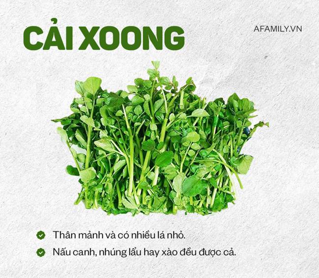 Bí kíp phân biệt các loại rau cải dành cho hội chị em vụng, không còn tình trạng cô ơi đây là rau gì? nữa rồi!-6
