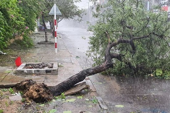 Dự báo thời tiết 11/11: Miền Trung quay quắt với mưa giông, gió giật