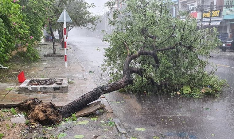 Dự báo thời tiết 11/11: Miền Trung quay quắt với mưa giông, gió giật-1