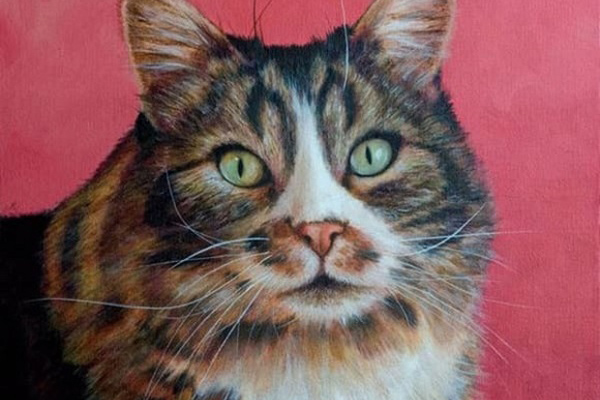 Top 4 cung Hoàng đạo chuẩn bị đón chờ một năm mới 2021 rực rỡ, từ sự nghiệp đến học hành, tình cảm đều vô cùng xán lạn hơn người-5