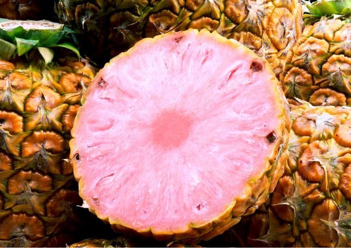 Dứa ruột hồng, thơm như kẹo bông giá cả triệu/quả-1