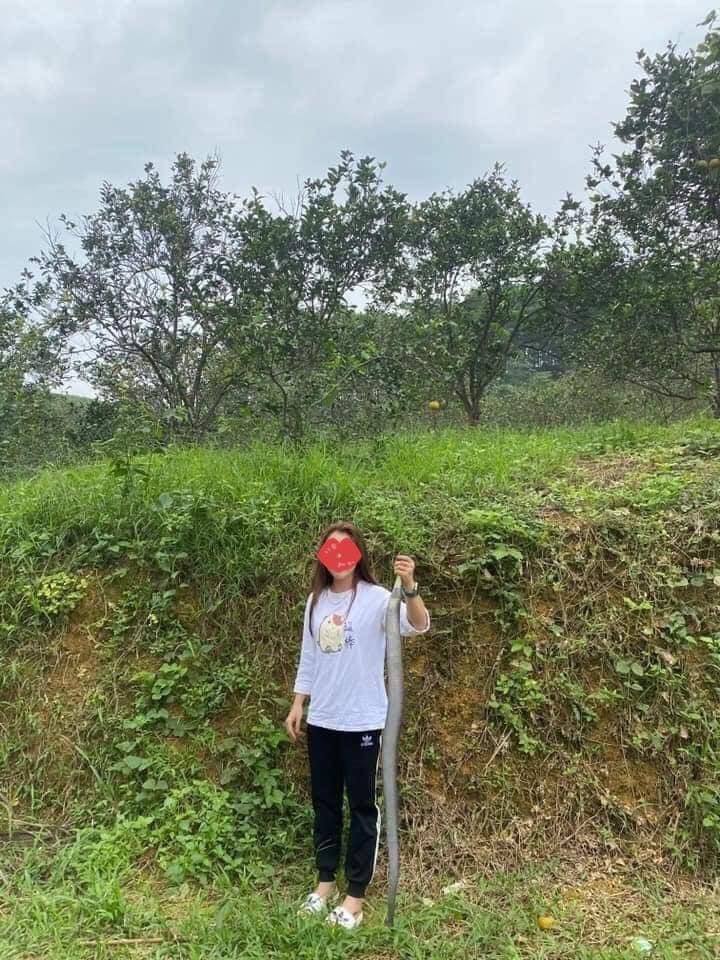 Khiếp đảm cô gái tay không bắt rắn, nghe kể lại quá trình thu phục con vật, ai cũng mắt chữ A mồm chữ O: Người đâu mà mạnh bạo thế?-3