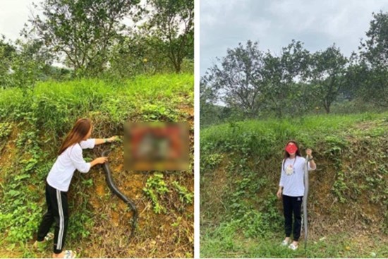 Khiếp đảm cô gái tay không bắt rắn, nghe kể lại quá trình thu phục con vật, ai cũng 