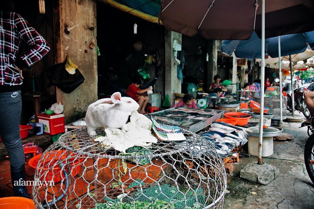 Chuyện lần đầu kể của người phụ nữ... lỡ làm nghề giết mổ động vật và những ánh mắt vô hồn đến ám ảnh tại khu xóm nhỏ chuyên thịt chó ở Sài Gòn-1